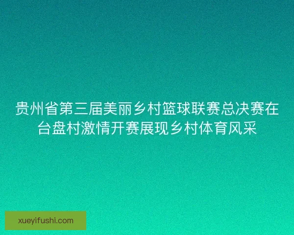 贵州省第三届美丽乡村篮球联赛总决赛在台盘村激情开赛展现乡村体育风采